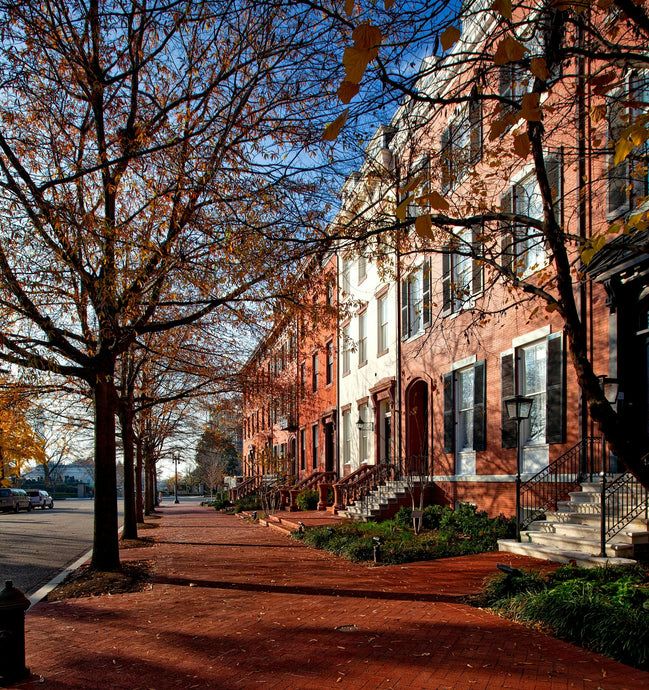 20 Hidden Gems in DC